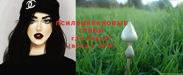 ALPHA PVP Кодинск